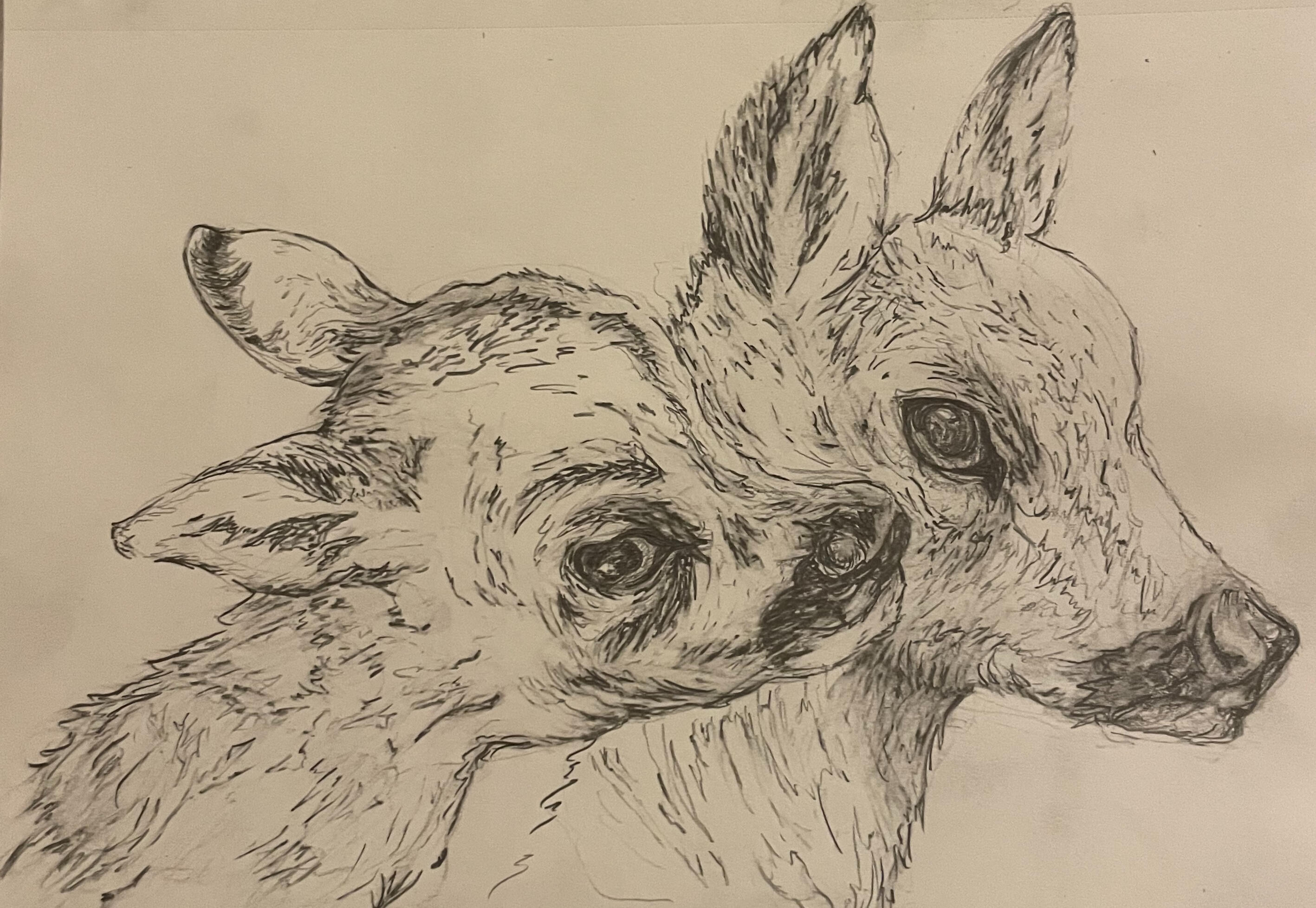 Untitled Untitled